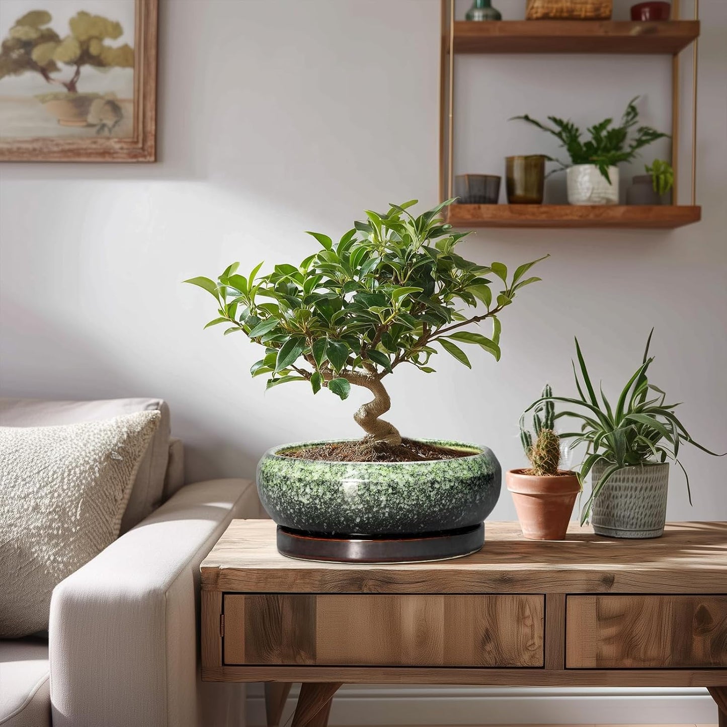 Transform Your Space with Our Elegant 8-Inch Retro Green Ceramic Bonsai Pot - Ideal for Succulents and Indoor/Outdoor Decor, Complete with Drainage and Saucer