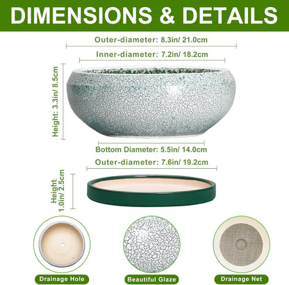 Bonsai Tree Pots - 8 Inch Ceramic Succulent Pot with Drainage Hole and Tray, Bonsai Pots, Shallow Planters for Indoor Outdoor, round Planter Bowl, House Decor, Gifts for Plant Lovers, Green