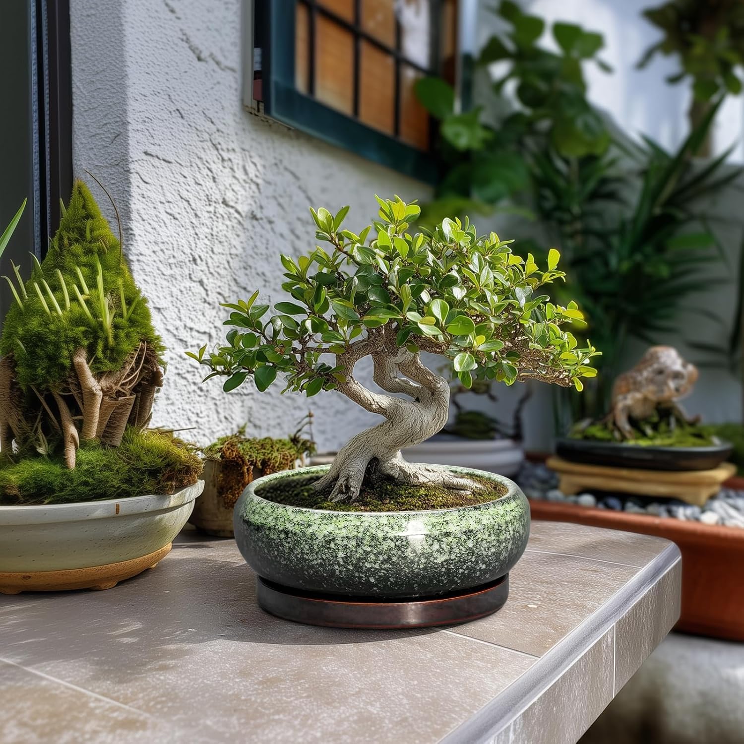 Transform Your Space with Our Elegant 8-Inch Retro Green Ceramic Bonsai Pot - Ideal for Succulents and Indoor/Outdoor Decor, Complete with Drainage and Saucer