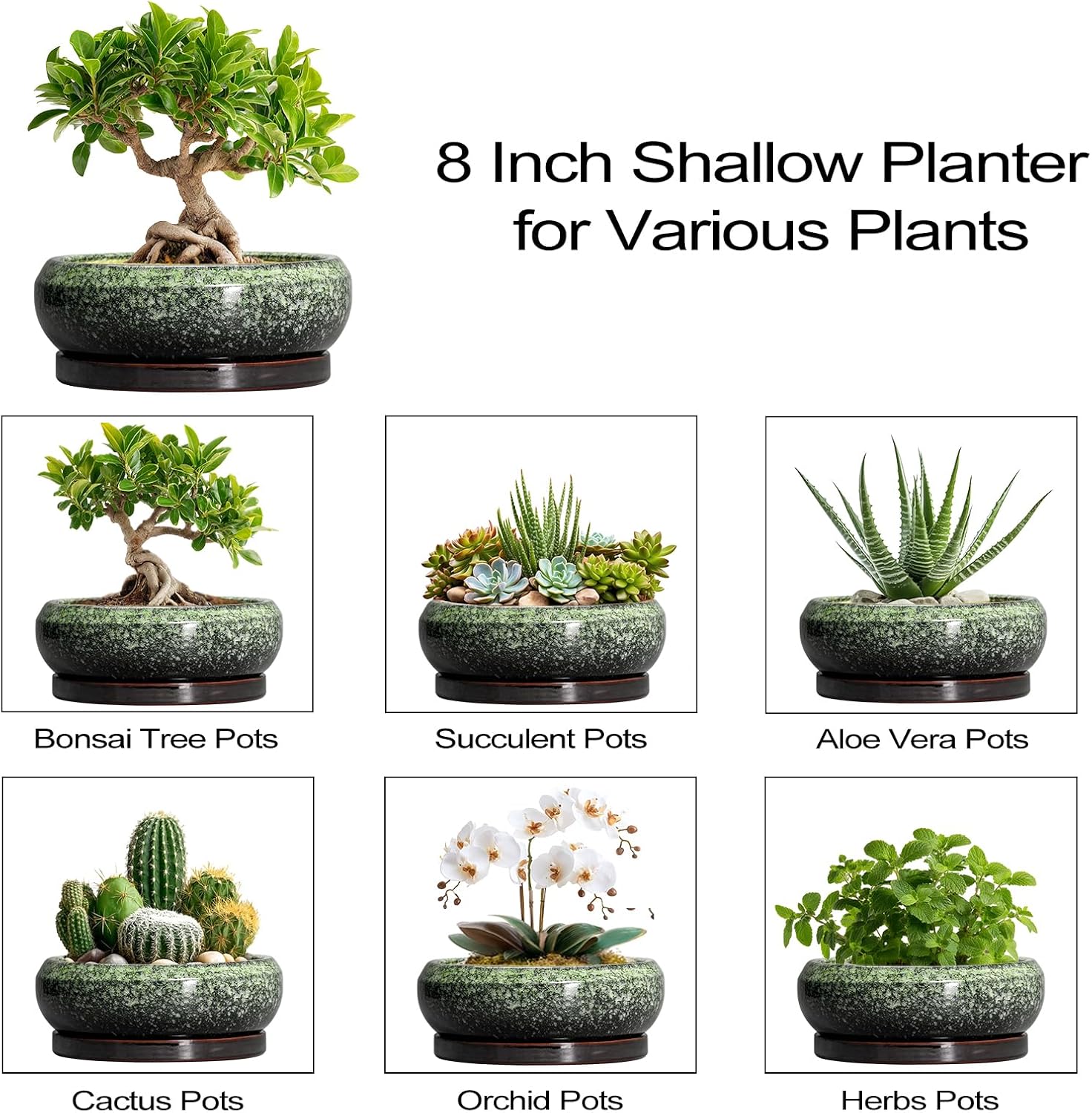 Transform Your Space with Our Elegant 8-Inch Retro Green Ceramic Bonsai Pot - Ideal for Succulents and Indoor/Outdoor Decor, Complete with Drainage and Saucer